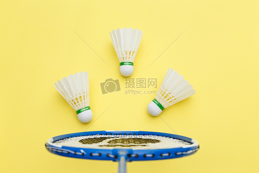 多纳鲁马不 多纳鲁马不