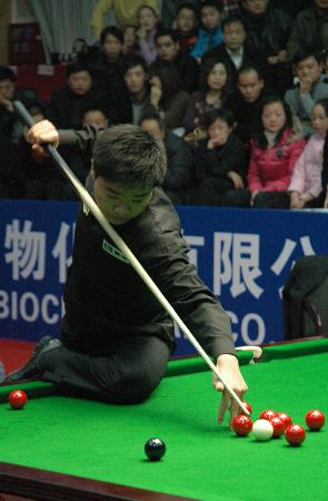 博洛尼亚要 博洛尼亚要